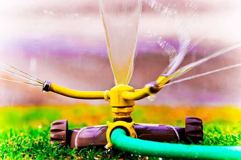 How to Keep Your Landscaping Hydrated During Hot Summer Days
