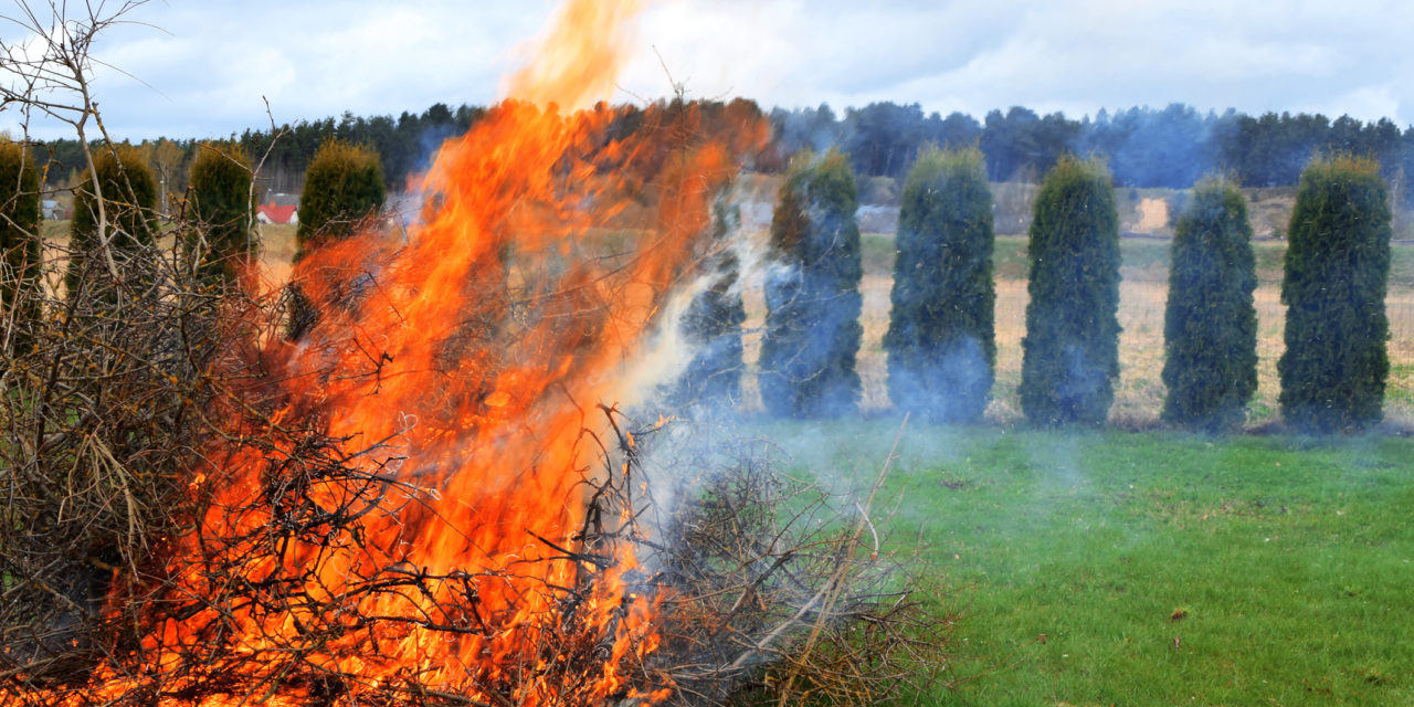 6 Ways to Limit Fire Risk with Landscaping