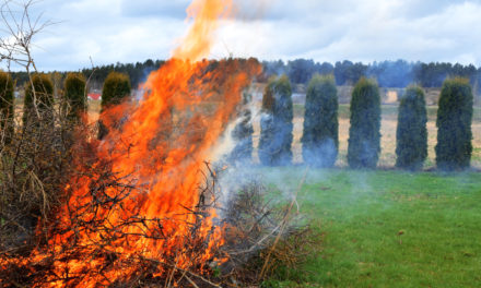 6 Ways to Limit Fire Risk with Landscaping