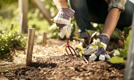 19 Small Ways to Save Money While Gardening