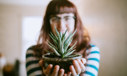 9 Cheap Ways to Care for Houseplants While on Vacation