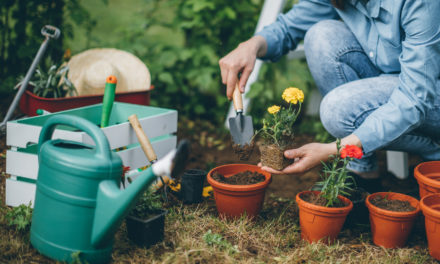 7 Dangers Lurking in Your Garden