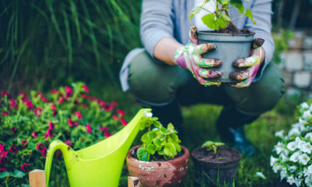 4 Incredible Gift Ideas For Gardeners