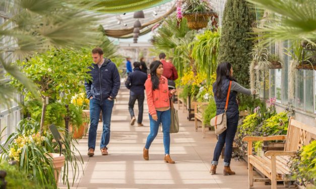 Orchid Showcase at Denver Botanic Gardens Offers Mid-Winter Taste of the Tropics