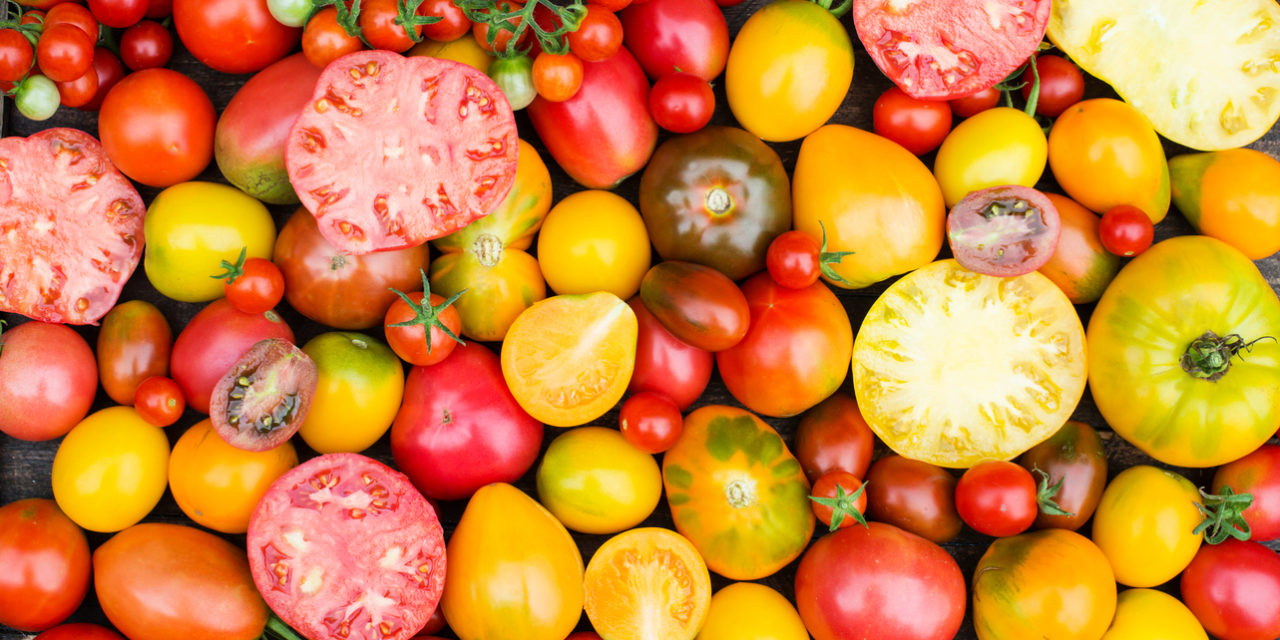5 Fresh-Garden Tomato Recipes
