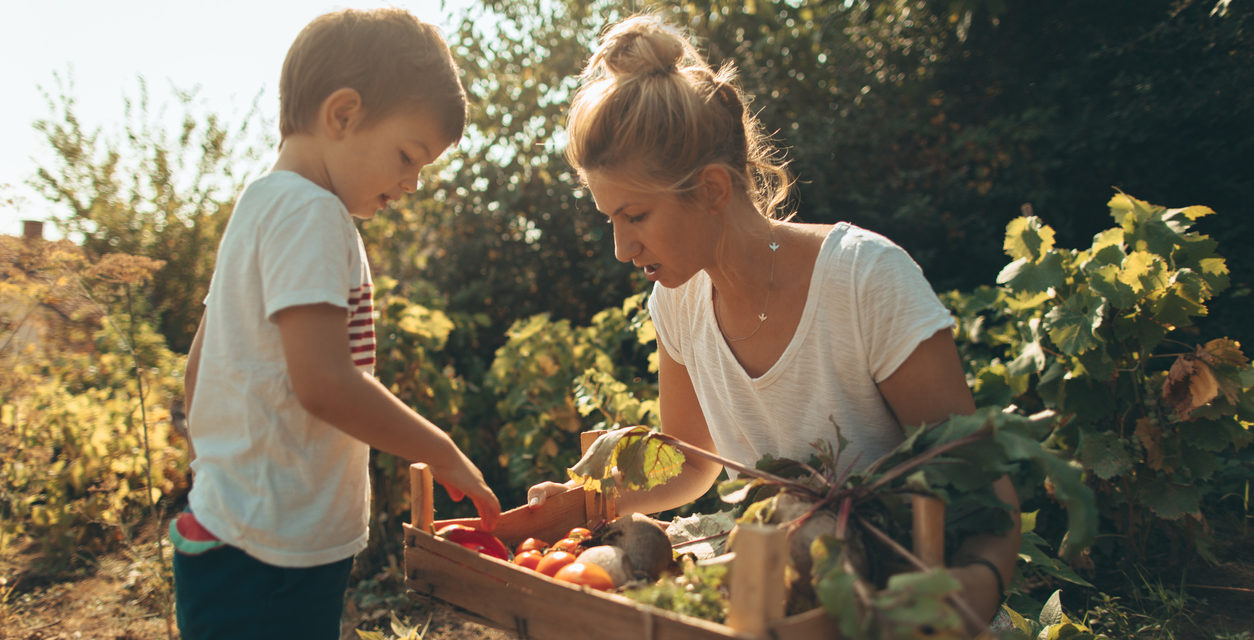 5 Reasons Gardening is Good for the Soul