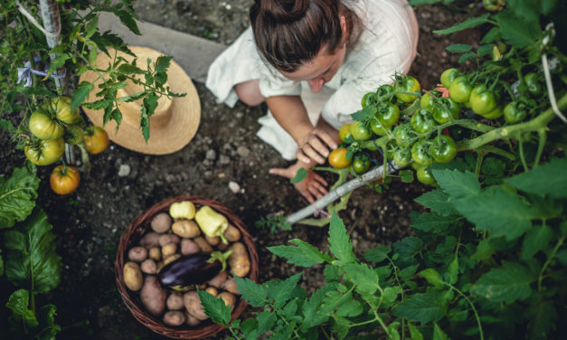 5 Big Reasons to Start a Vegetable Garden