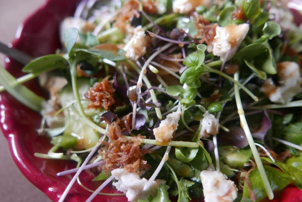 Eternal Bloom's micro greens make for a flavorful salad. Courtesy of Eternal Bloom LLC