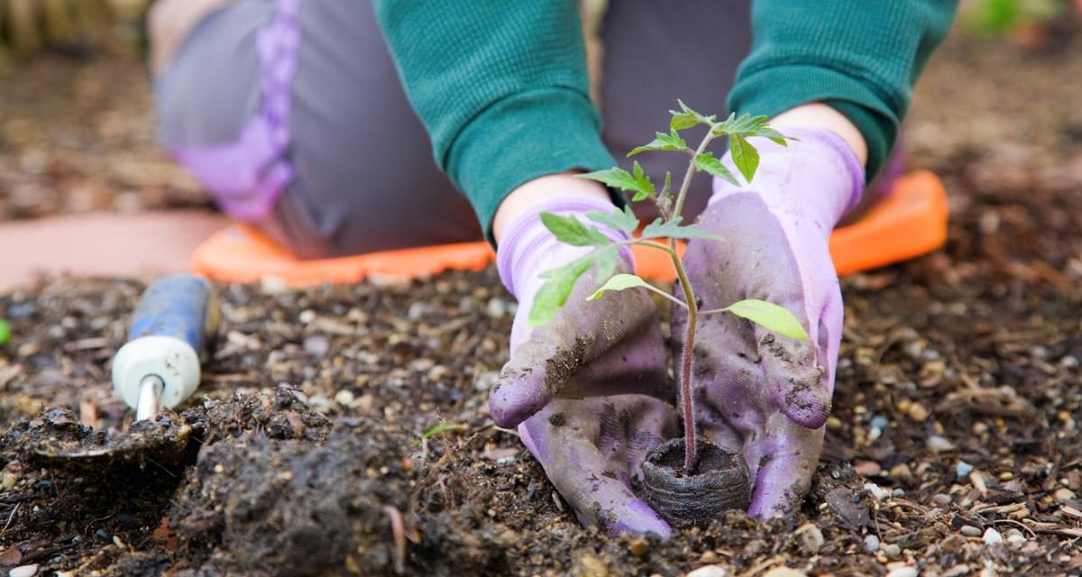 Spring Gardening Classes Popping Up in Colorado